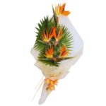 An Exotic Bouquet of 5 Birds of Paradise