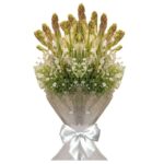 15 Fragrant Rajnigandhas Premium Bunch Wrapped in White Paper