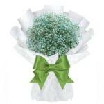 A Luxurious & Premium Bouquet of Green Color Gypsophila's