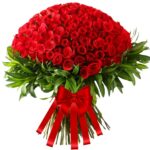 A Big Elegant Bunch of 221 Fresh Red Roses