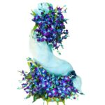 A Big Premium Luxurious Arrangement of Blue Orchids (2.5 Feet Height)