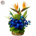 An Exotic Basket of Birds of Paradise & Blue Orchids