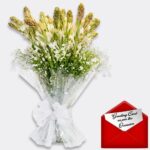 A Charming Bunch of 12 Fragrant Rajnigandha Flowers