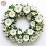 WREATH - of White Gerberas (Small)